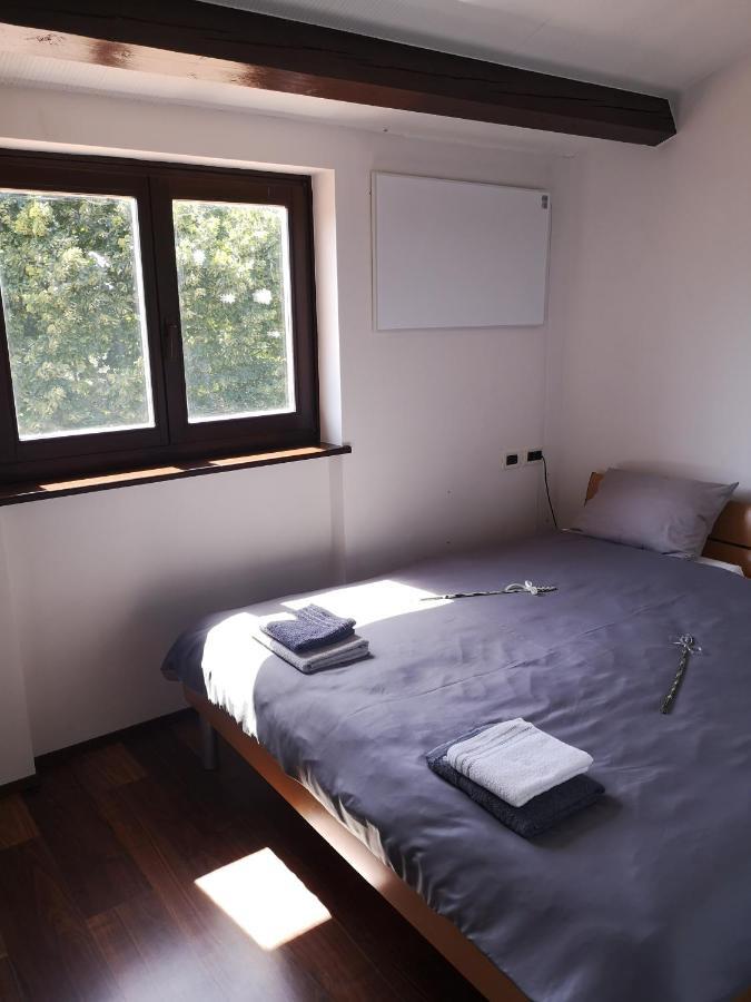 Apartma Rok Plavje Extérieur photo